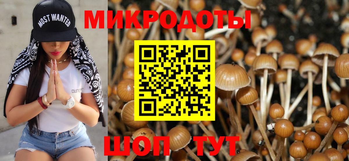 Домодедово  Псилоцибиновые грибы Magic Shrooms  Вход с VPN 